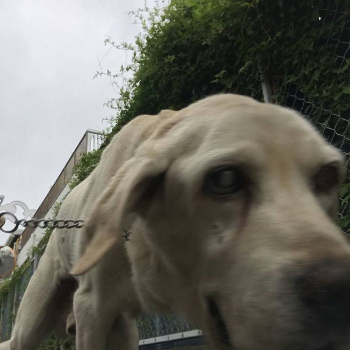 Dea48d8b 53da 4a57 9158 4f3a34702a89