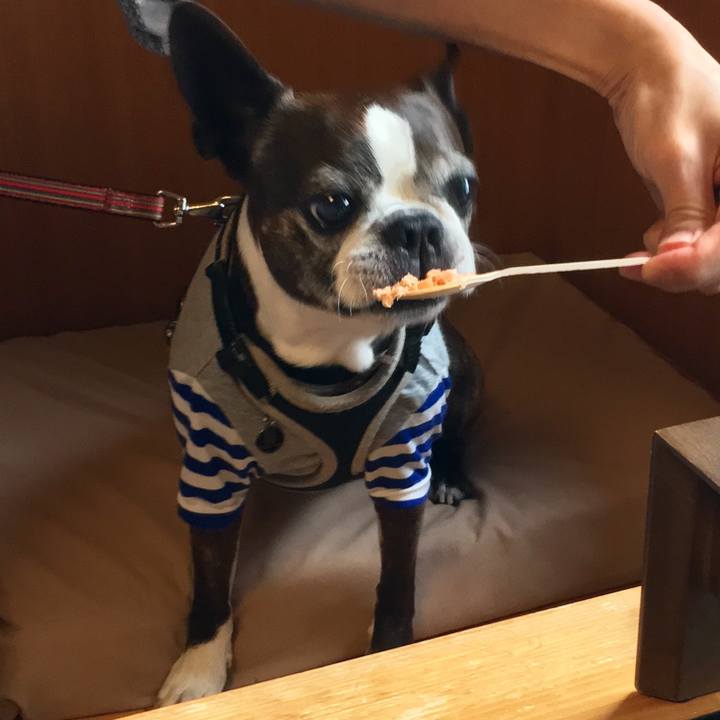 Dea49058 d048 4cc8 8918 6bf0b0d19eda