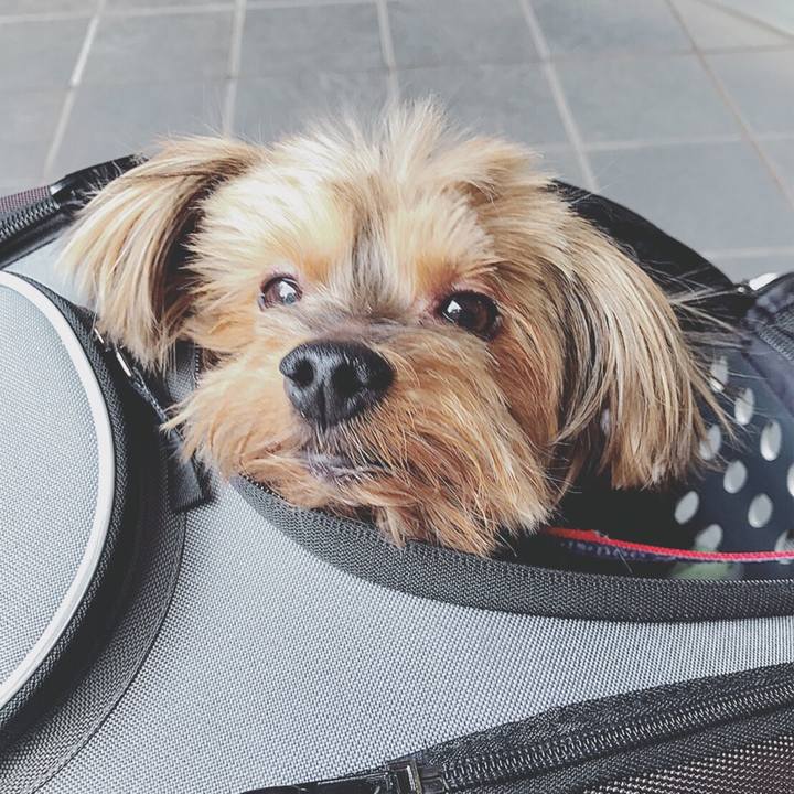 Dea6c67b 0eba 4f8d a456 9606bc669fe0