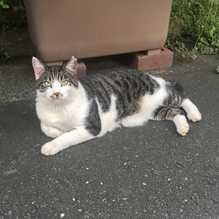 Dea6f323 3fbb 4f0a bc09 867736cb6dc8