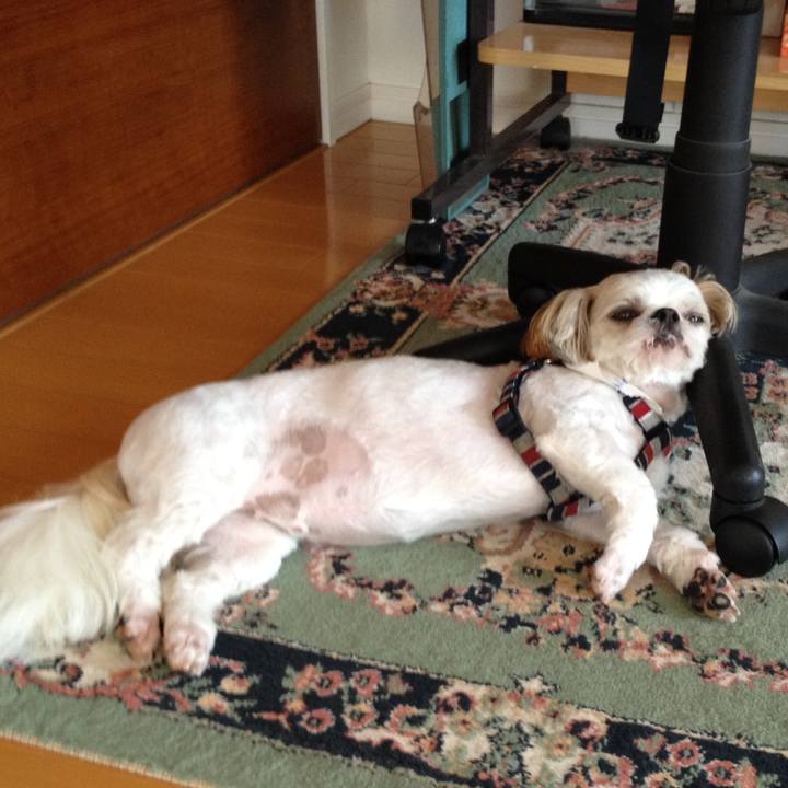 Dea73205 cf00 4279 a78a 02ebca05949c