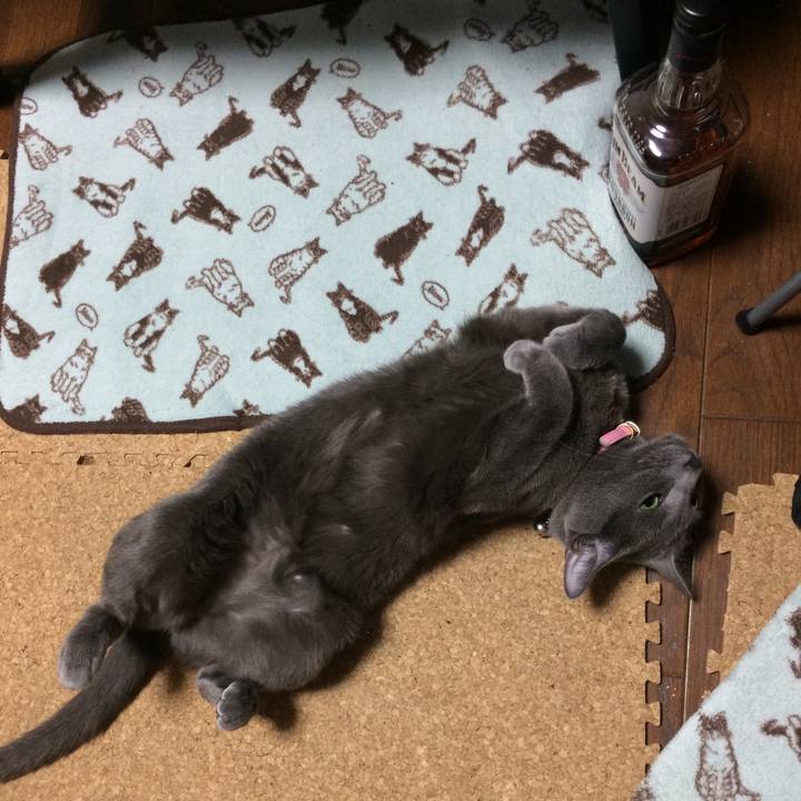 Dea75454 0b97 46e8 bf55 26b93aae8b54