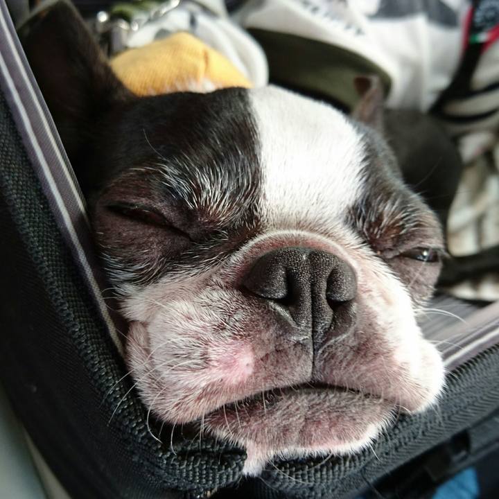 Dea77e3d 46d0 4880 92a3 9bcb64c87eb0