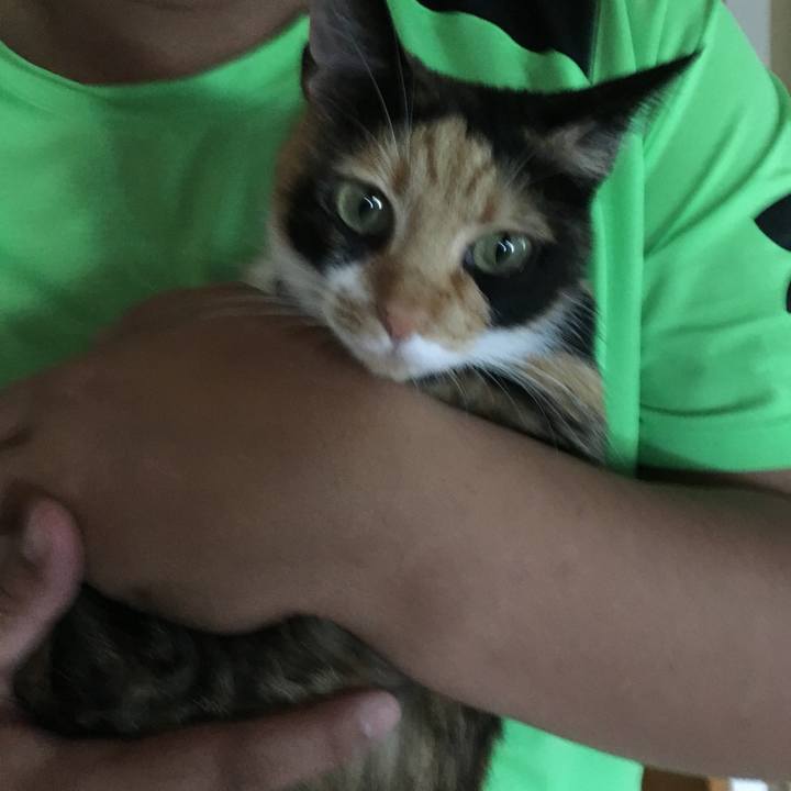 Dea799e9 e01c 4f01 9c08 8f568ca4bc77