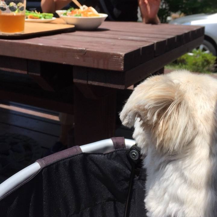 Dea81683 aa04 4a10 8a38 4cafb2904e32