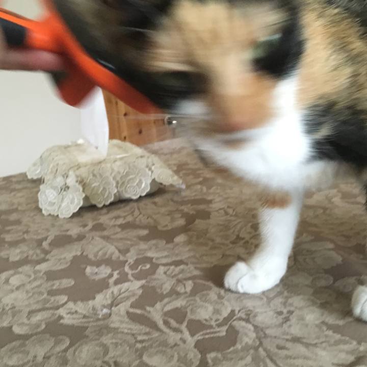 Dea873d9 902e 4077 9ba5 0a566edf2ece