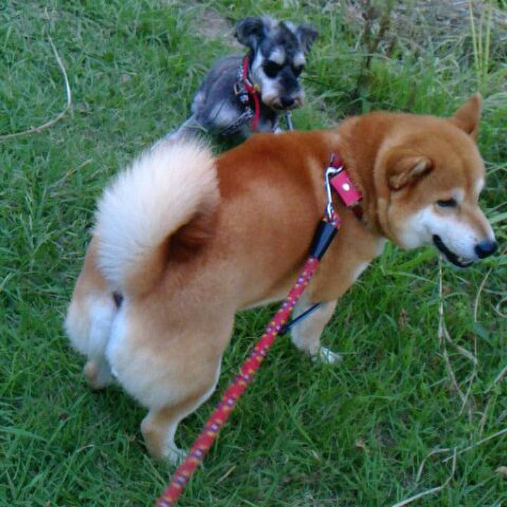 Dea8b603 8a2b 47b8 b448 ee6afaa63a07