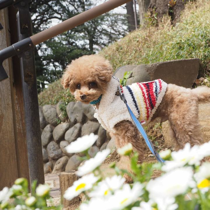 Dea8f05f 224f 4530 a3fd 3f3b221ad7cc