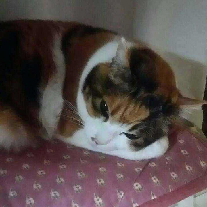 Dea950f1 bc49 4e8b 8130 f325d58273b5