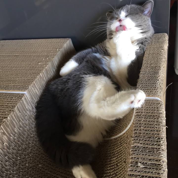 Dea97684 ffd7 4208 920e 589e8d7591b0