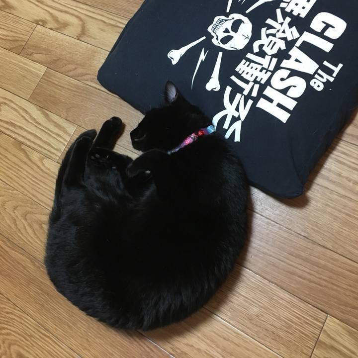 Dea97c8c 94a9 4a18 b2c1 65374b721ce7