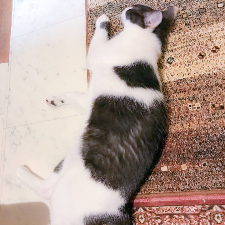 Dea9a91f 83a8 49cb 86d9 aa3dde5ae03a