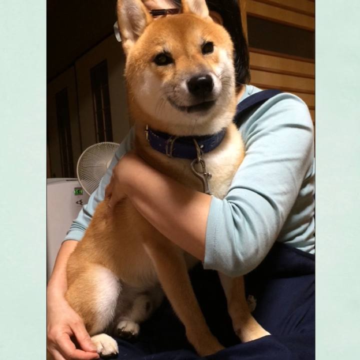 Dea9b9ea c0a0 49e1 b278 8b9adcb0036f