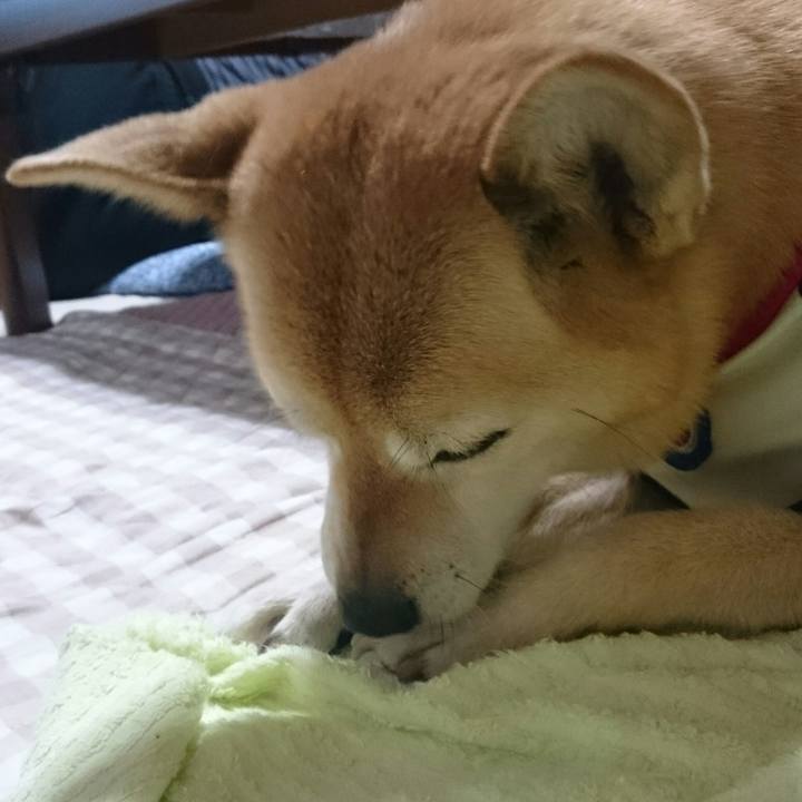 Deaa0584 6471 4c9f 845d 5dd874f54f17