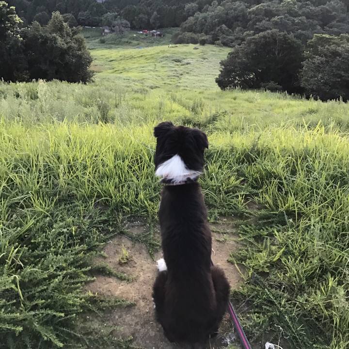 Deaa1f17 c362 4b7d b234 7db29c187995