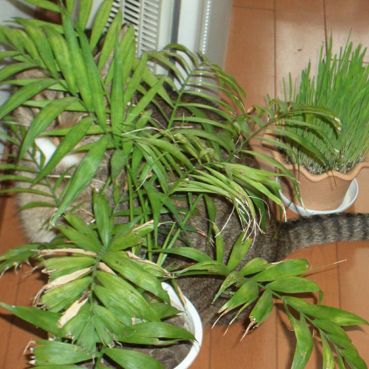 Deaa51a2 e221 45a4 8841 201210c88e63