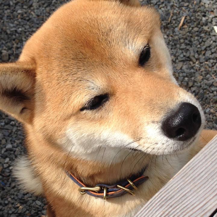 Deaa8e21 2876 467a 8c4b 6060b627f59d