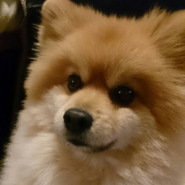 Deaad743 0d32 4573 b4b9 ac2672246489