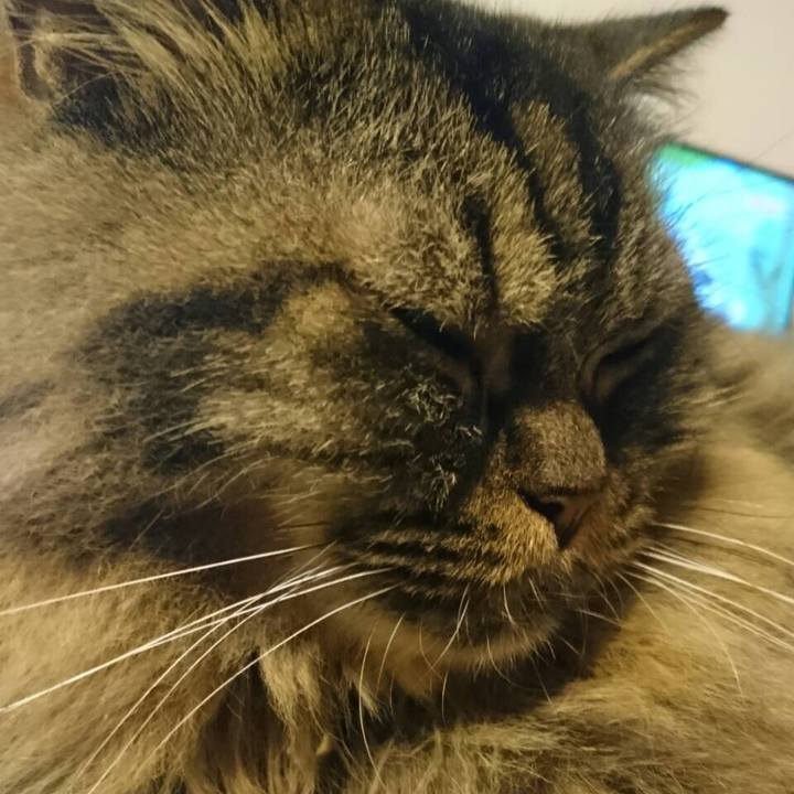 Deac28a9 5d5a 4923 bc53 160ea435e4b0