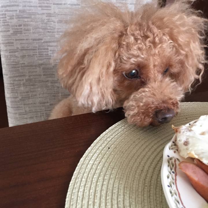 Deac6fdb 204e 49f2 8425 41626592a392