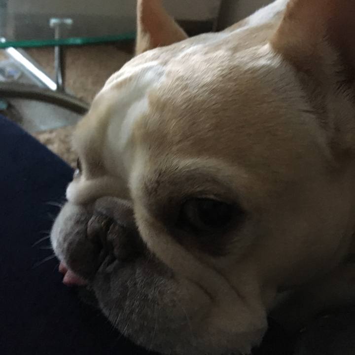 Deaca117 2fa9 427c 9257 ccfbbb219d51