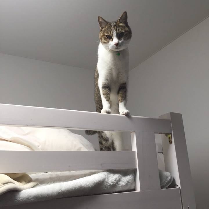 Dead44df 8b01 4dce a4cb a9fac964b71c