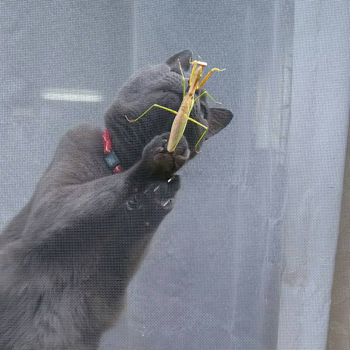 Dead4edc 90ab 4886 9e08 ce322404c084