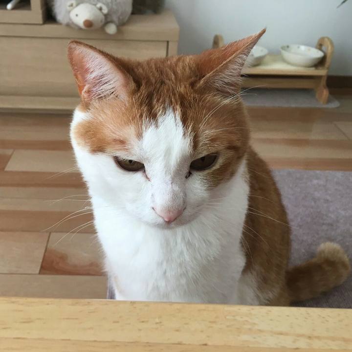 Dead7877 38fa 4a17 a836 b3833d80c324