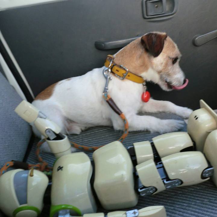 Dead7e66 3f48 4e24 9e0f c1e95d6ae325