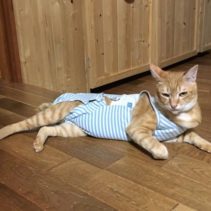 Dead95dc 1a08 424a 8629 e758f9ef8a9c