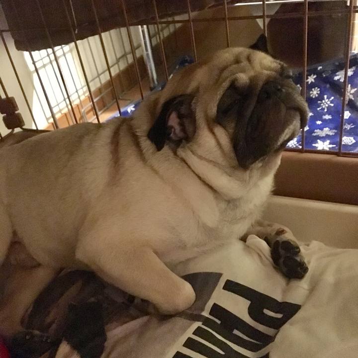 Deadbd35 efef 4e3a b4a5 6e9a4c6fd0de