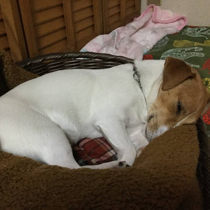 Deae2911 edf7 428e 9a5e 7b7fe282c1c6