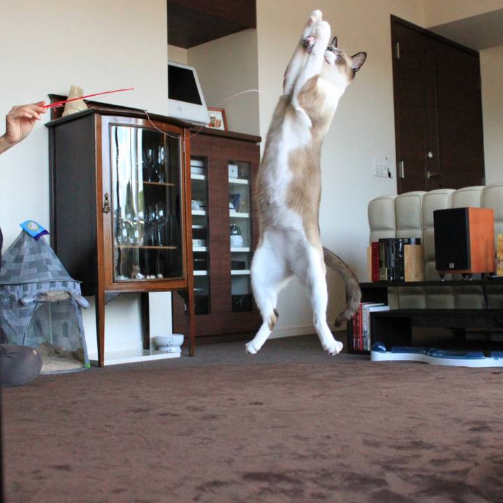 Deae3719 7b51 4bfa 894d 1b0a536e6885