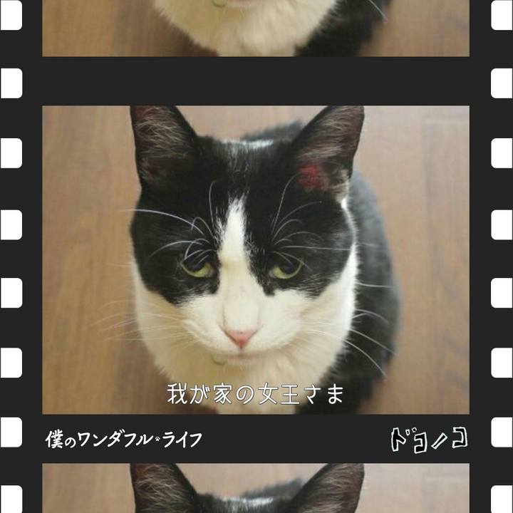 Deae4299 6106 49c9 853e f352b278f35f