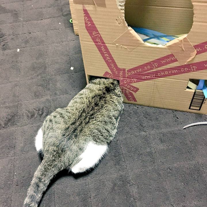 Deaefd28 7876 4996 bdee 77aa8adad11a