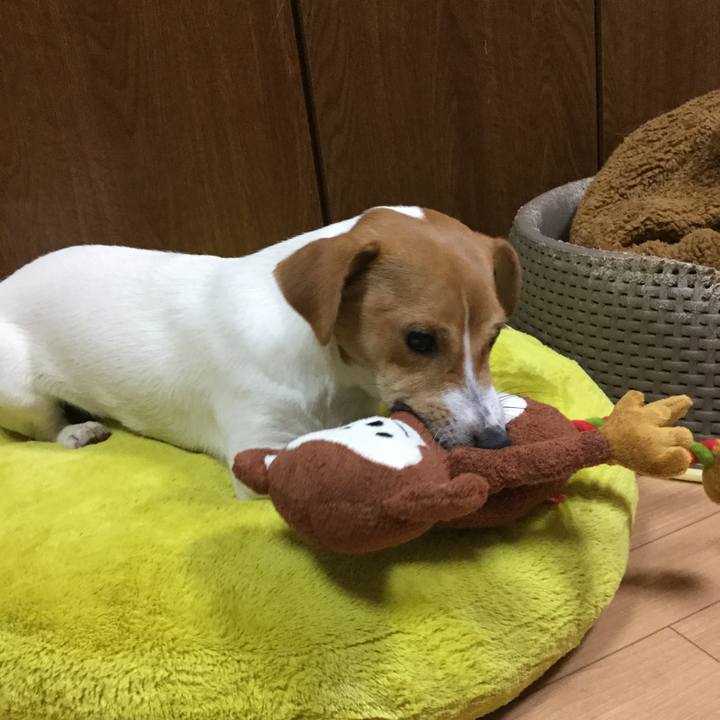 Deaf0af4 f272 42c2 9899 340c1c092f57