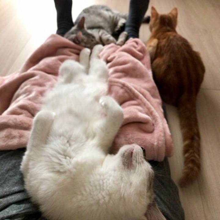 Deaf268e ab69 4fc4 aff4 9565f33a09f8