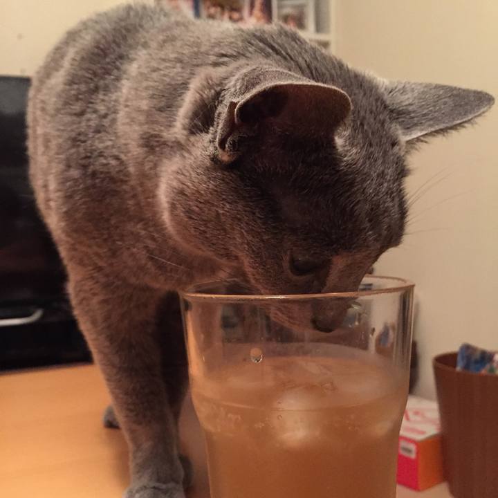 Deaf5238 0c64 4590 9eaf 89b576ac9a63