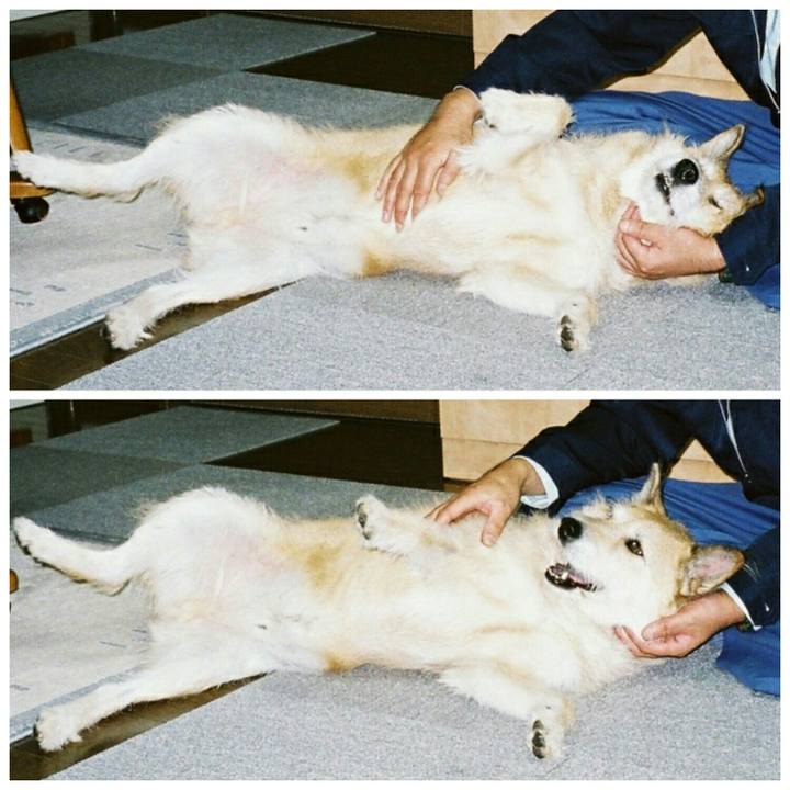 Deb00ca6 97d4 4a4f b7a4 052d3ce71c65