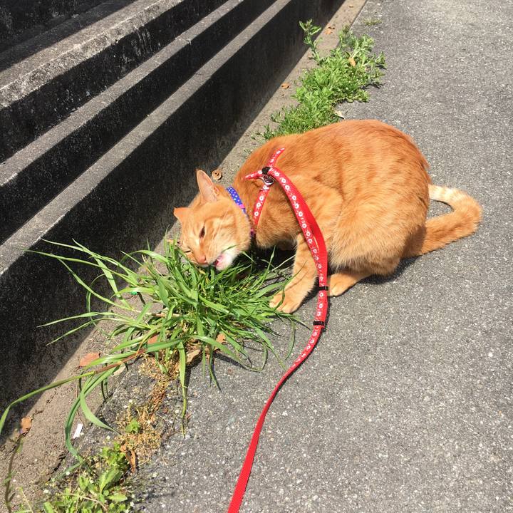 Deb0ec34 3f55 4428 9412 84ee3c88ea12