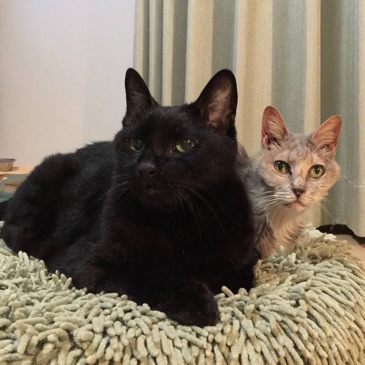 Deb24a95 b400 4a3f bf93 002fddb62ef4