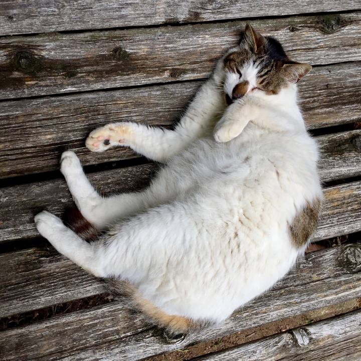 Deb2f54e 17e5 4279 88bd 572eeaba3b24