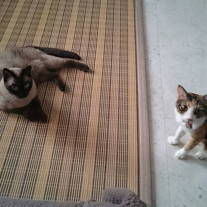 Deb342aa e302 46de 9249 38908c718bee