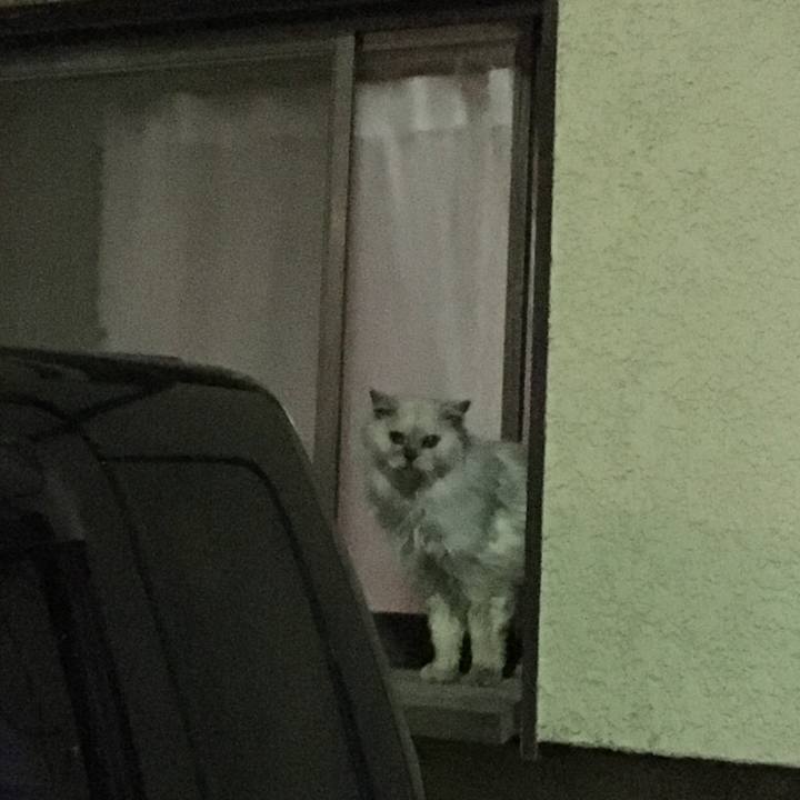 Deb346f5 8b83 4429 9bce 7b9d9b10b7d9