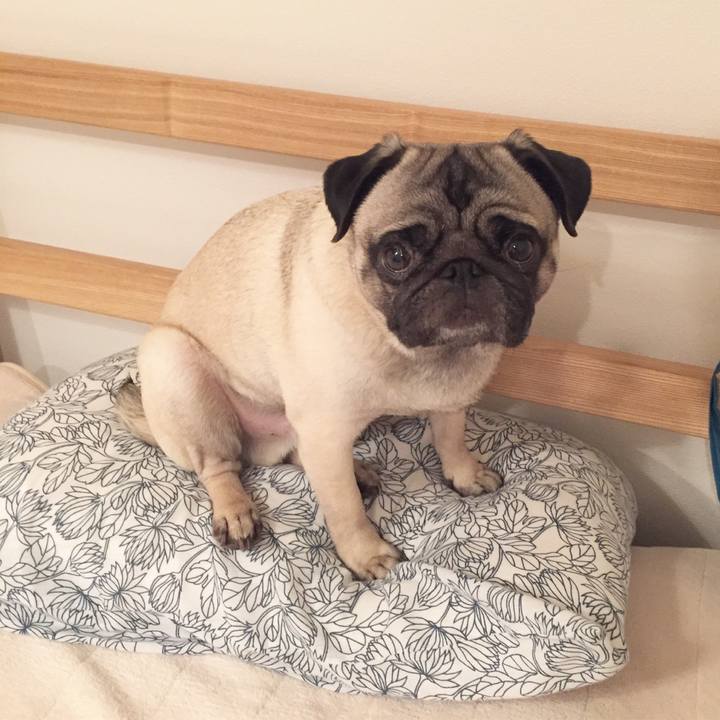 Deb37810 e58b 417a a930 5e41be1d41e6