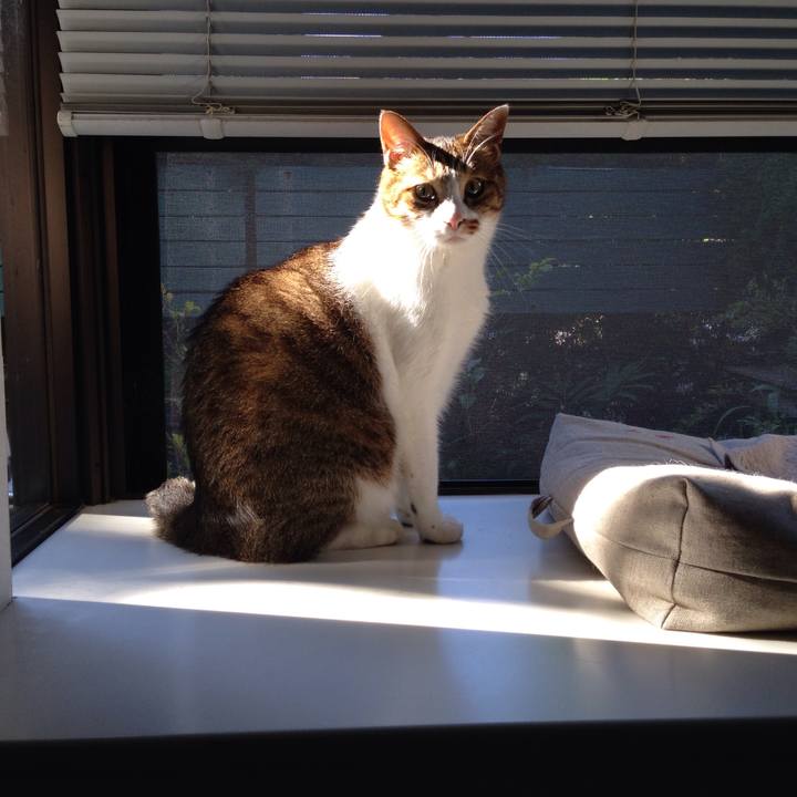 Deb38ae8 3fc2 439d a4ad 1a8304ec180e