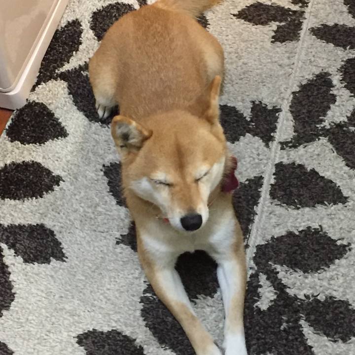 Deb3983d 6c84 470b 811f 3e4cd7d26421