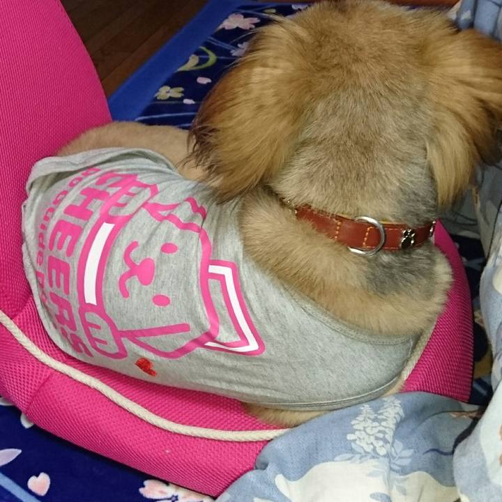 Deb3d03e 7357 4fcd 86ce 0779e2922690