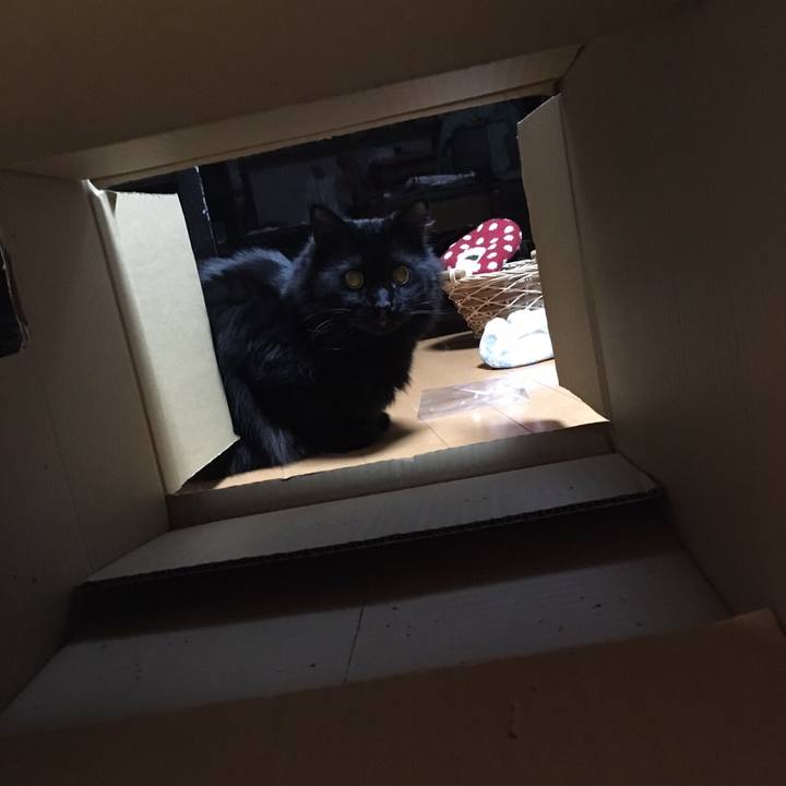 Deb401b5 5ba9 4608 959c 773ec619f205