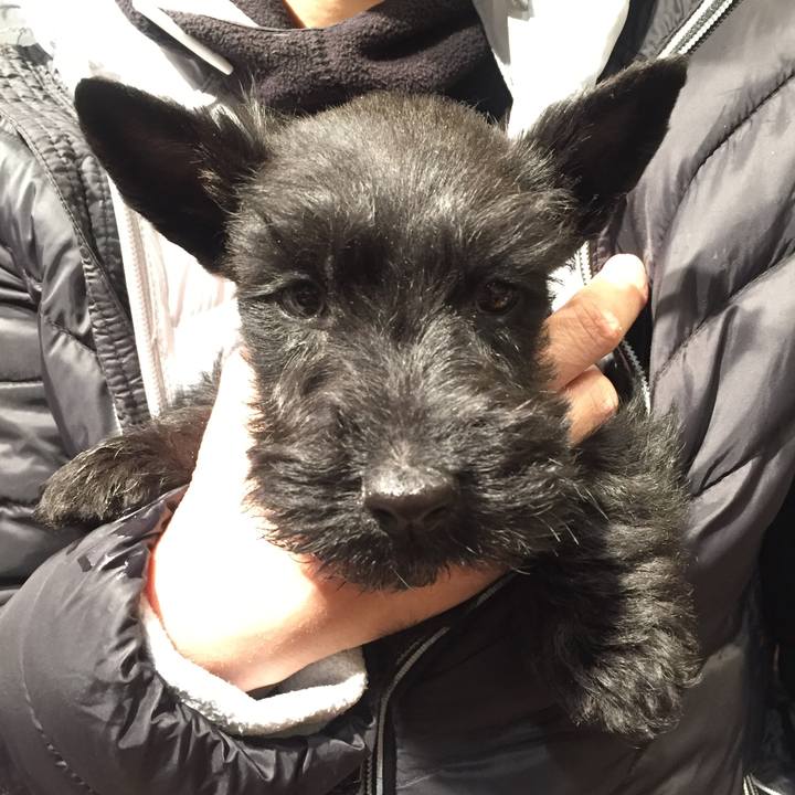 Deb45606 64ca 4205 87b9 ce3b71e5a119